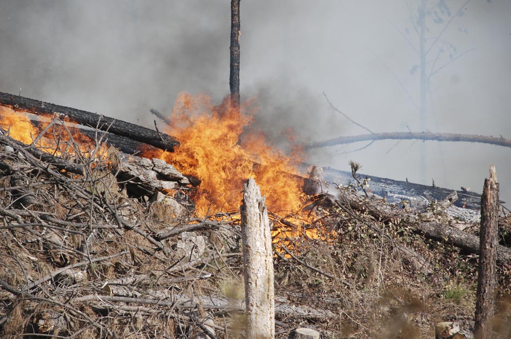 Incesante esfuerzo de bomberos para contener un incendio en Berrotarán