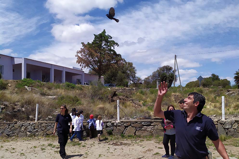 Liberación de aves en Tala Cañada