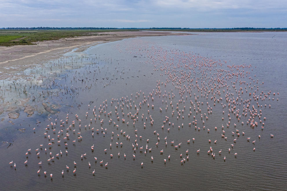 Laguna Mar Chiquita: un emblema color rosa con acento cordobés - Web de  Noticias - Gobierno de Córdoba