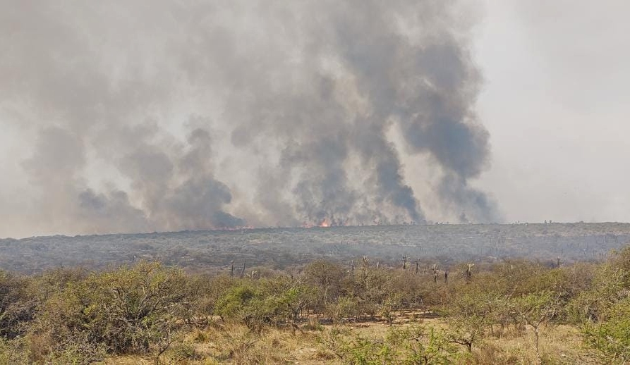 «Alerta» por condiciones meteorológicas de peligro para el desarrollo de incendios forestales